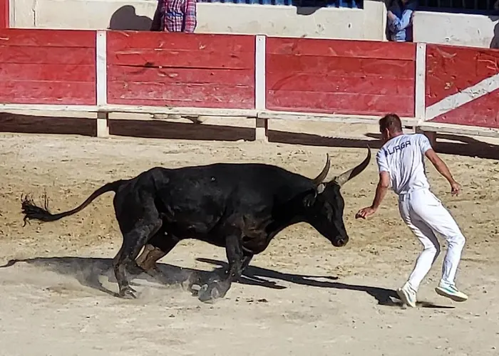 Les Bastides De La Plage-400 M De La 勒格罗-迪鲁瓦