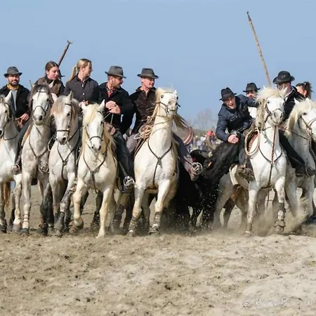 Les Bastides De La Plage-400 M De La * 르그로뒤후아