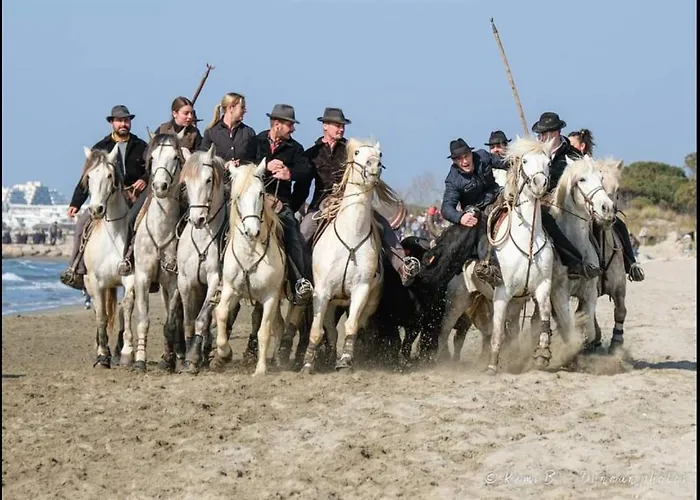 Les Bastides De La Plage-400 M De La * Le Grau-du-Roi